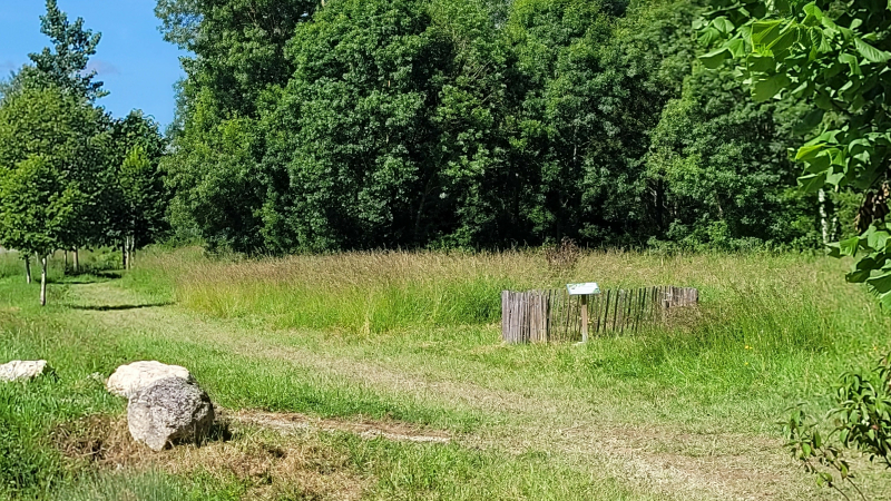 Gestion différenciée des espaces verts en fauchage tardif à l'Isle-Jourdain.
