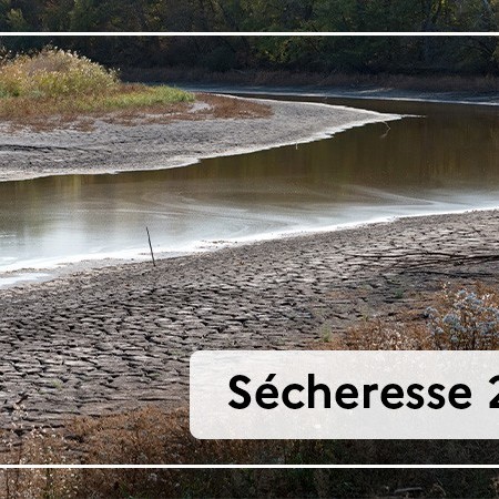 Secheresse-2023.jpg