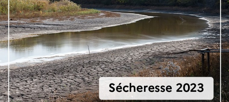 Secheresse-2023.jpg