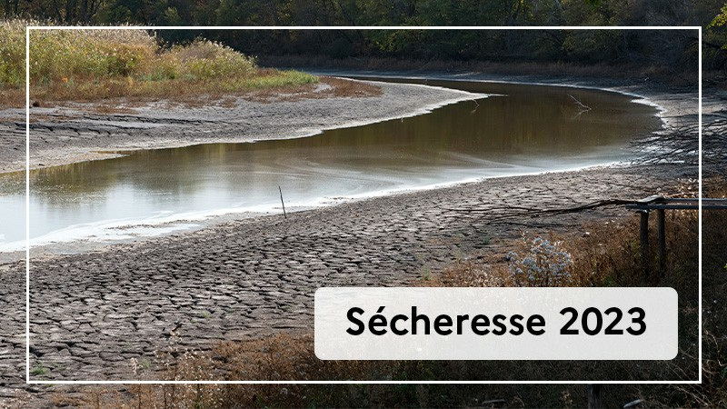 Intempéries 2023 :  indemnisation des pertes de récoltes pour les productions non assurées