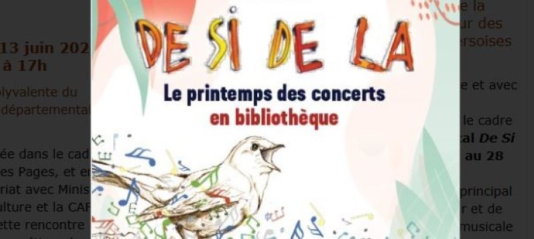 A la médiathèque, Concert « Les chansons  simples »