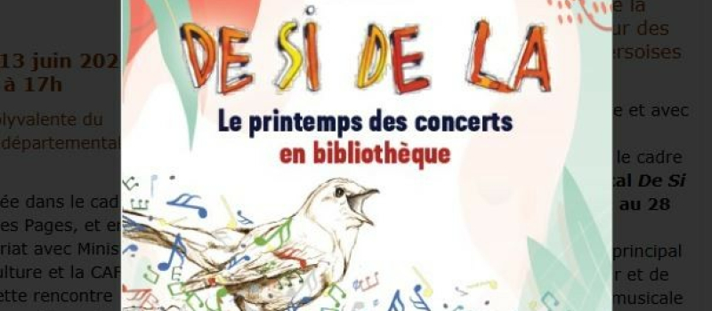 A la médiathèque, Concert « Les chansons  simples »