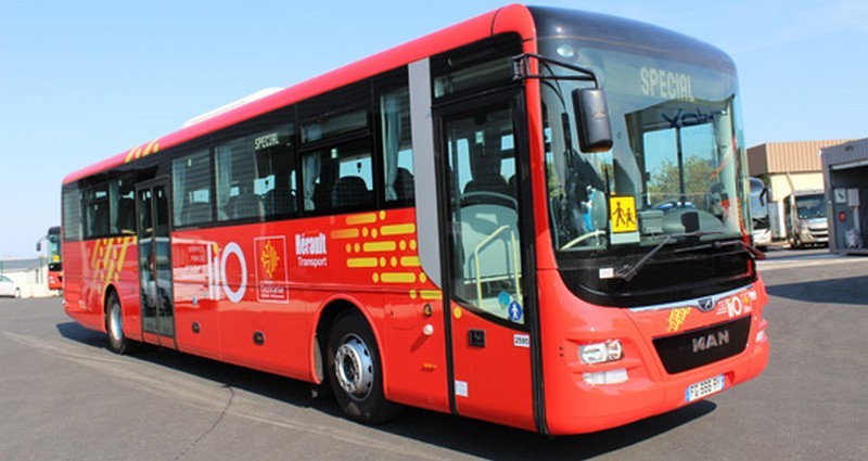 bus-lio.jpg