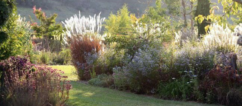 Sortie culture et nature avec Vic Accueil