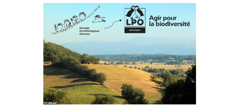 Le Groupe Ornithologique Gersois devient la Délégation Gers de la LPO Occitanie !
