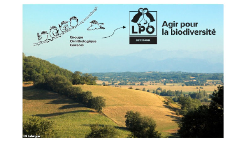 Le Groupe Ornithologique Gersois devient la Délégation Gers de la LPO Occitanie !
