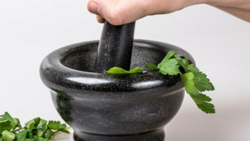 La cuisine sauvage et son atelier