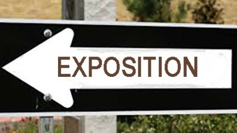Voir ou revoir les expos en cours