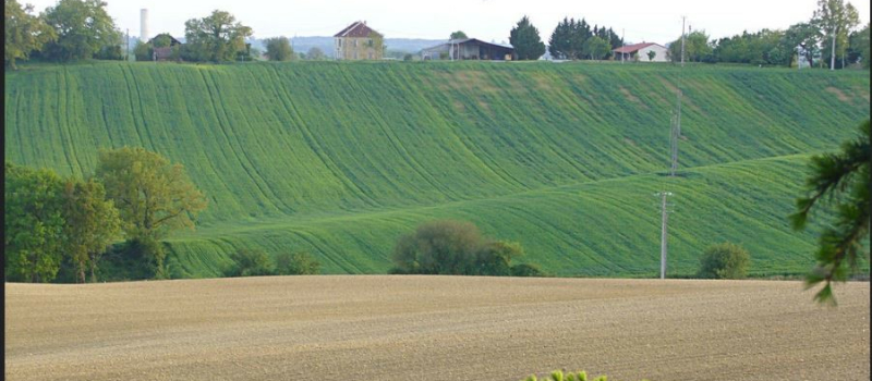 Planification écologique et a