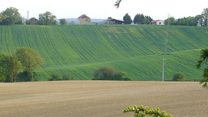 Planification écologique et a