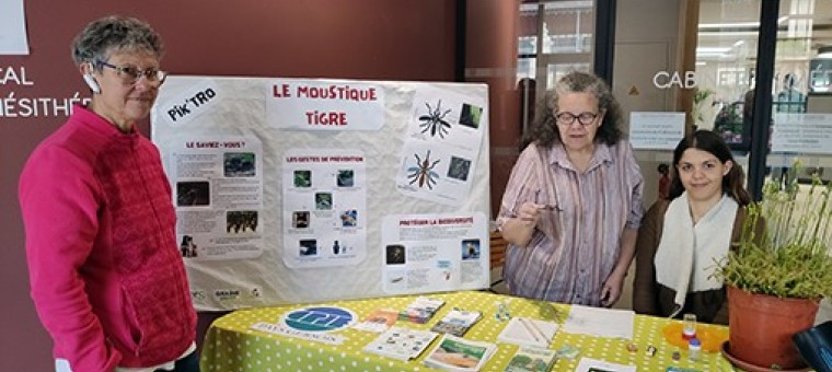 mirande moustique tigre 1.jpg