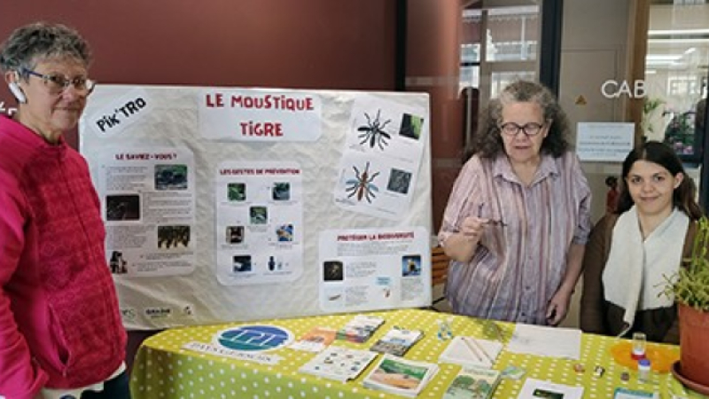 Le Moustique Tigre menace de l'été