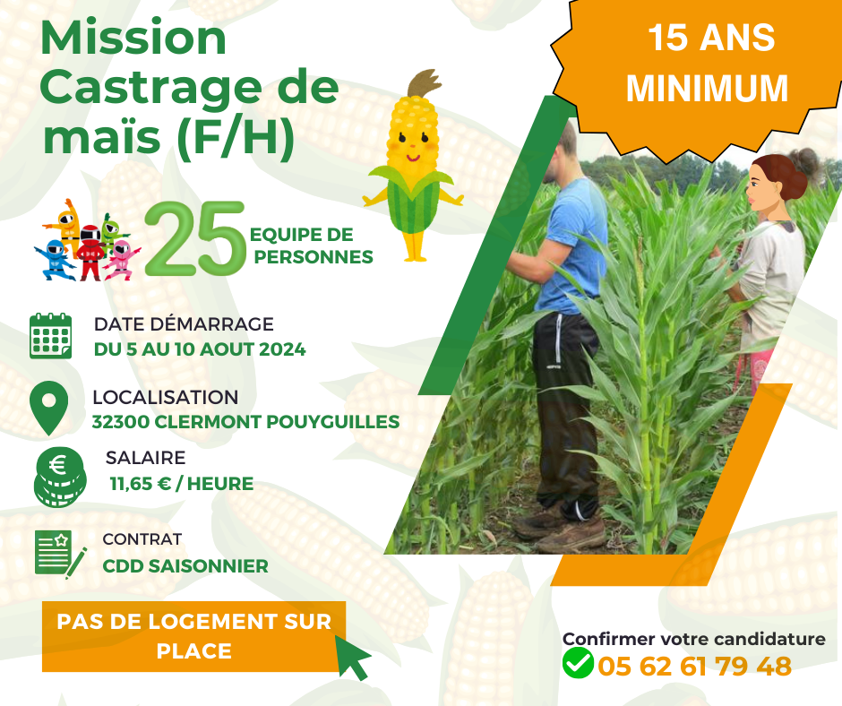ANNONCE CASTRAGE 2024.png