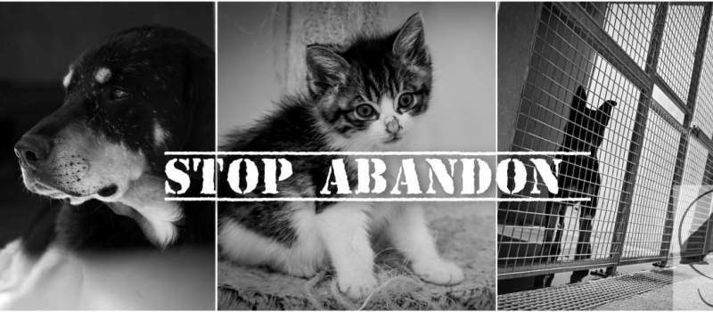 Journée mondiale contre l'abandon des animaux de compagnie