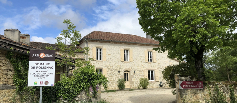 Vinepolign'Art au Domaine de Polignac !
