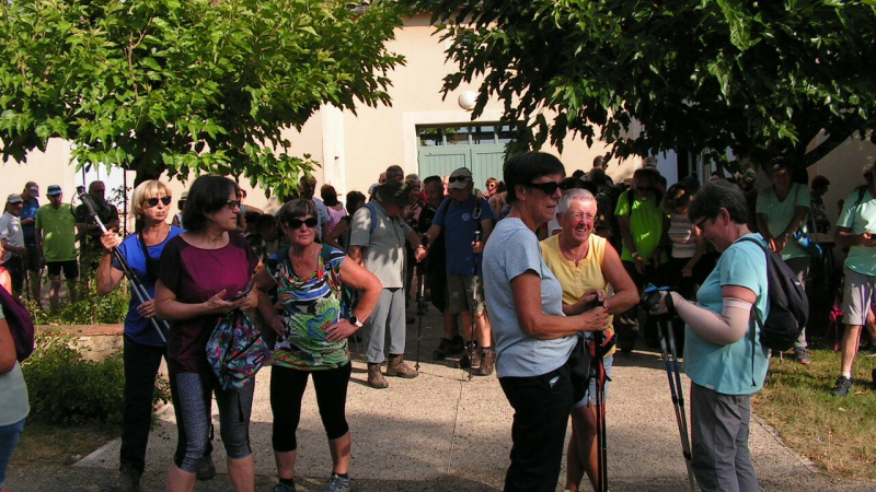 La rando des cailles aura lieu mercredi 17 juillet !