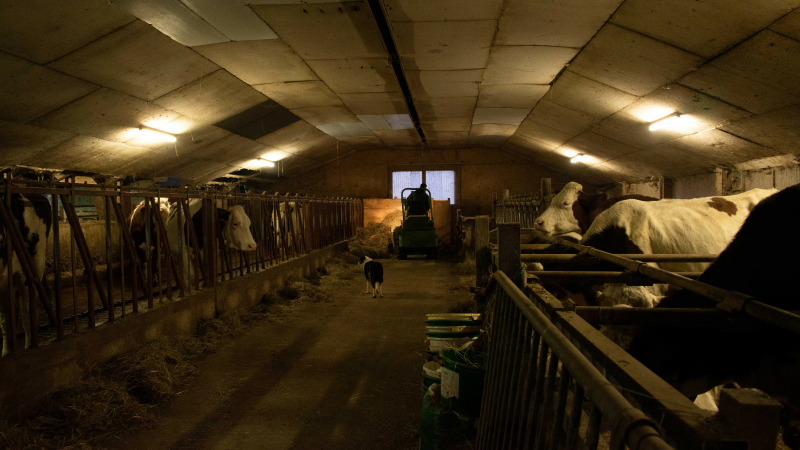 Pour des politiques publiques répondant aux problématiques du monde agricole