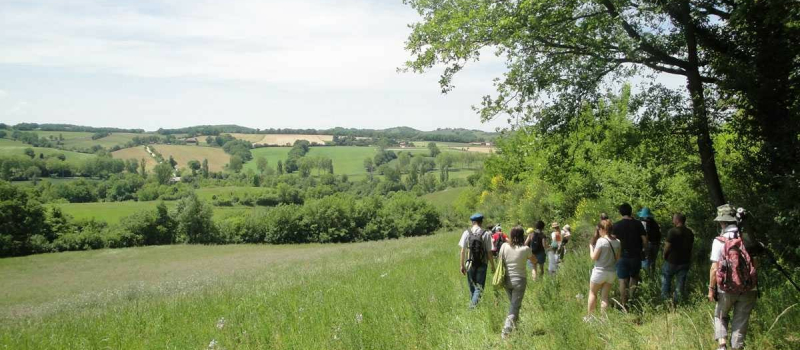 Programme d'animations estivales du CPIE gersois