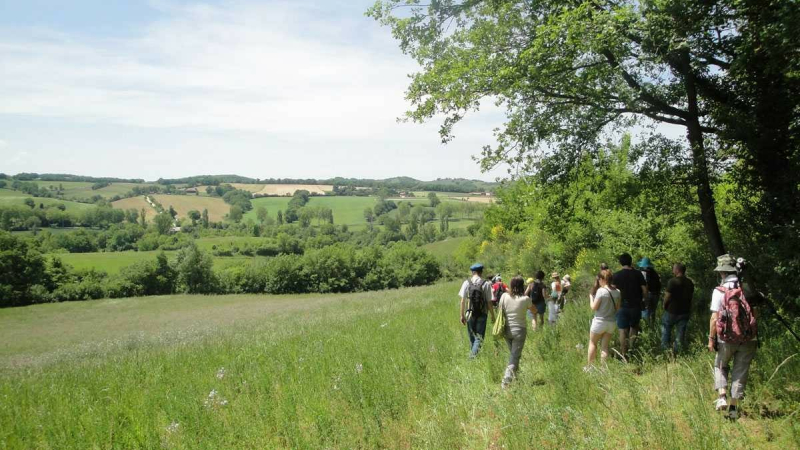 Programme d'animations estivales du CPIE gersois