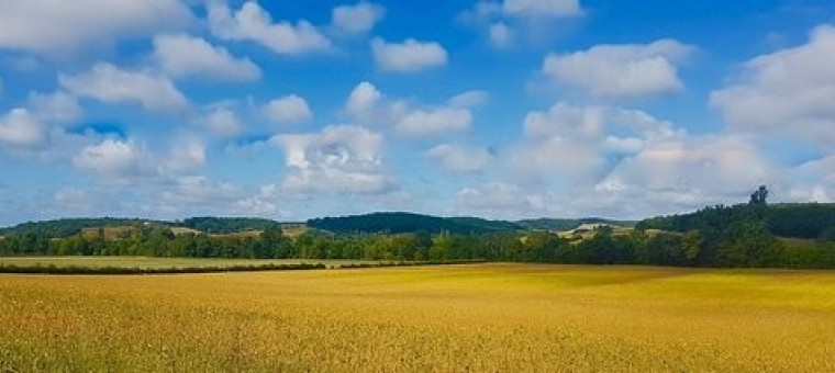 campagne-gersoise.jpg