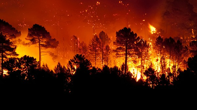 L’ONF mobilisé en matière de prévention contre les feux de forêt et de végétation