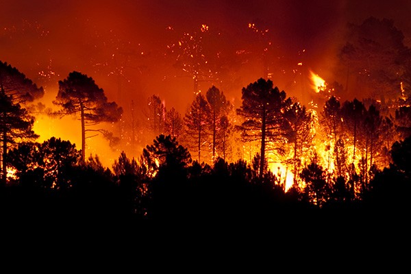 incendies-foret.jpg