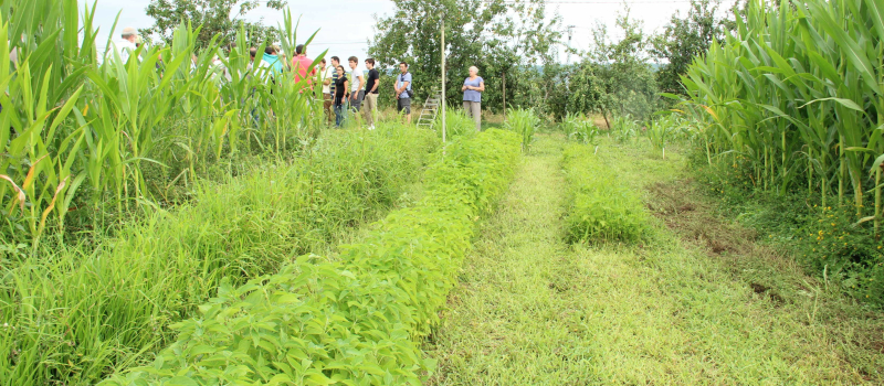 Paysages in Marciac : 16ème édition du festival de l’arbre, de l’agroécologie et de l’environnement du 22 au 27 juillet