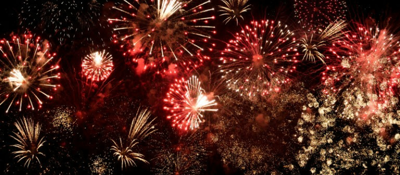 Feux d'artifice : attention aux animaux !