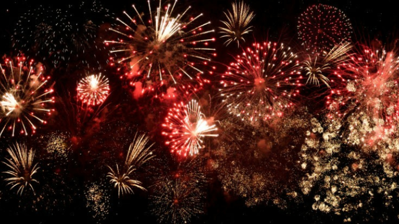 Feux d'artifice : attention aux animaux !