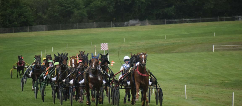 Poursuite de la saison hippique et clôture