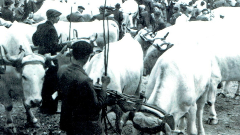La foire de la Madeleine