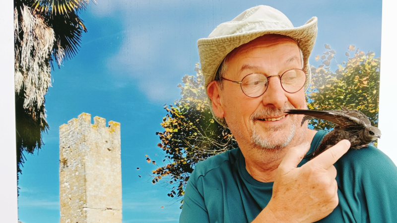 Courage fuyons: l’échappée belle du martinet de Larressingle