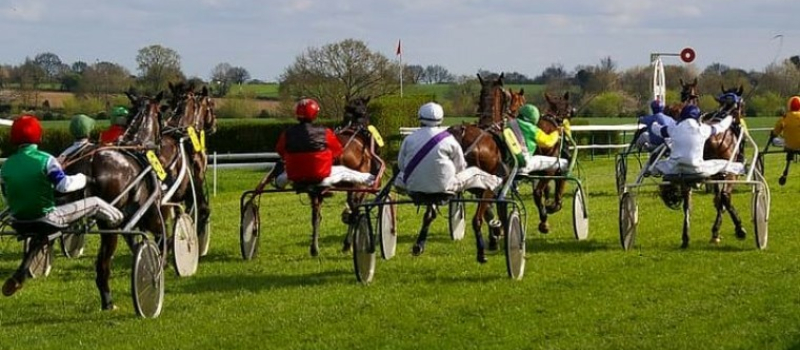 Courses de trot attelé à l'hippodrome du Réchou
