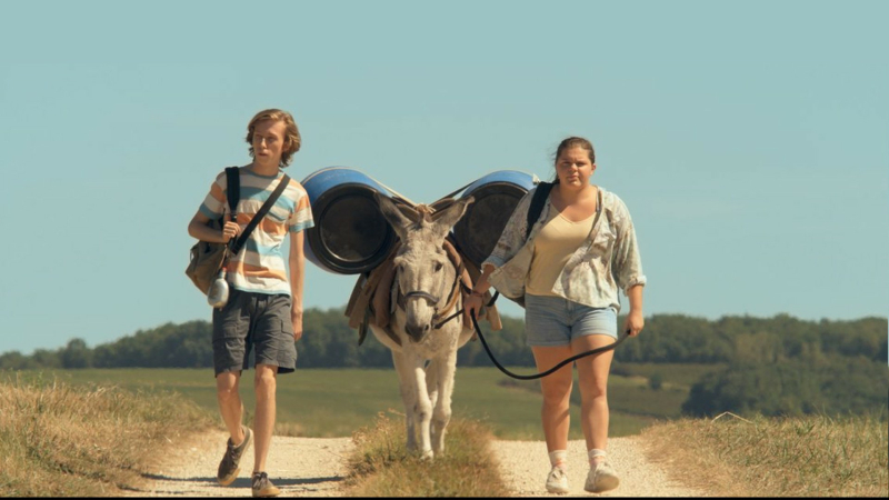 Cine Qua Non : programmation du mercredi 31 juillet au mardi 6 août 2024