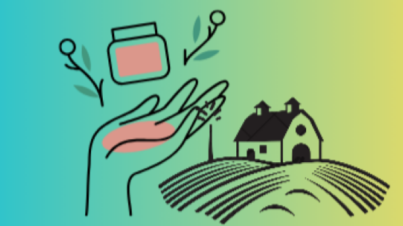 Animation Art et Terroir Miélan