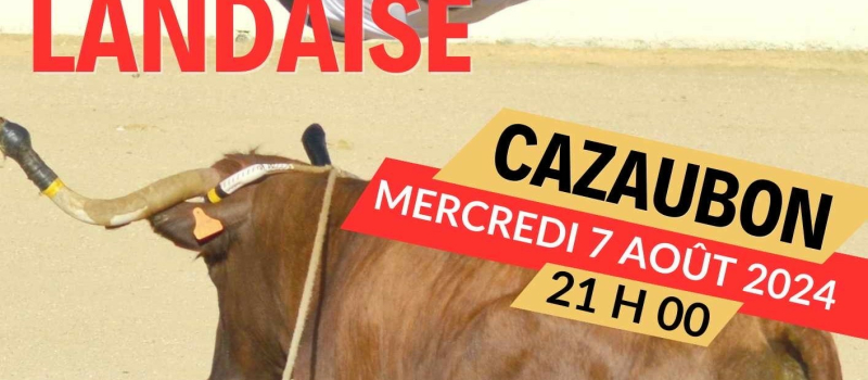 Course landaise