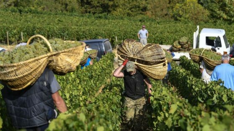 Les travailleur-euses saisonniers ont des droits :l’Union syndicale Solidaires les aide à les défendre !