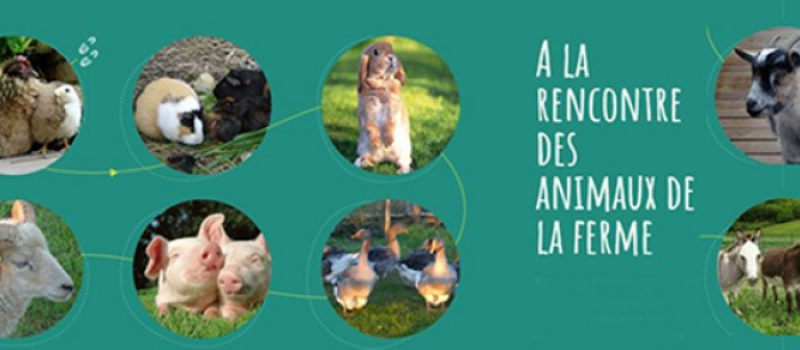 Découvertes gourmandes et artisanales autour de Mirande