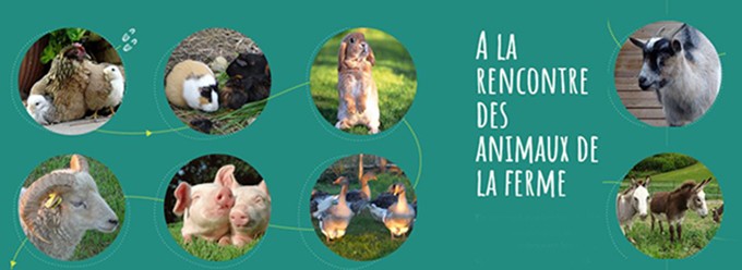 animaux de la ferme.JPG