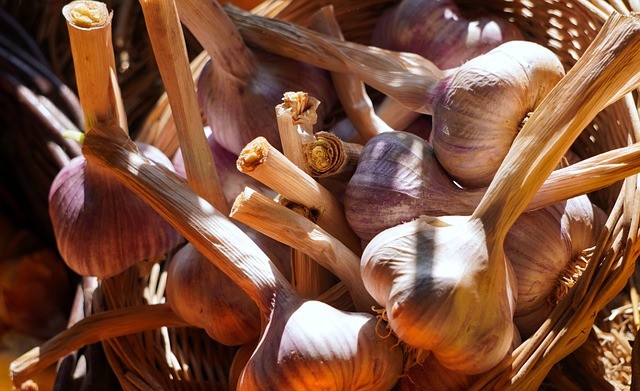garlic-4468043_640.jpg