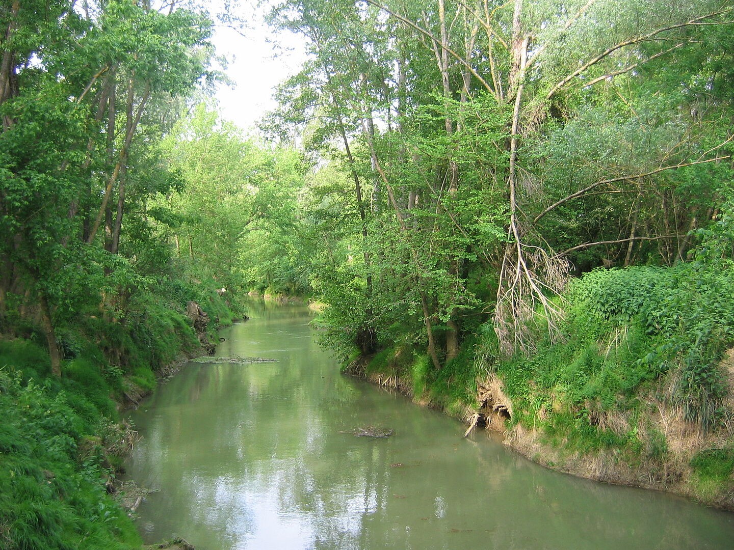 csm_Photo_milieux_aquatique_riviere_Save_4fc10ed766.jpg