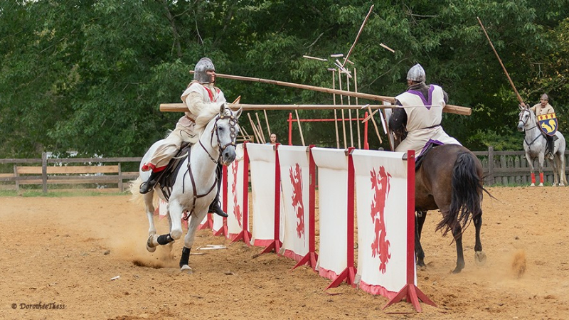 tournoi de joute à Termes d'Armagnac