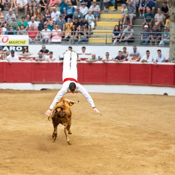 0 Théo Rodriguez en action 1bis 150824.jpg