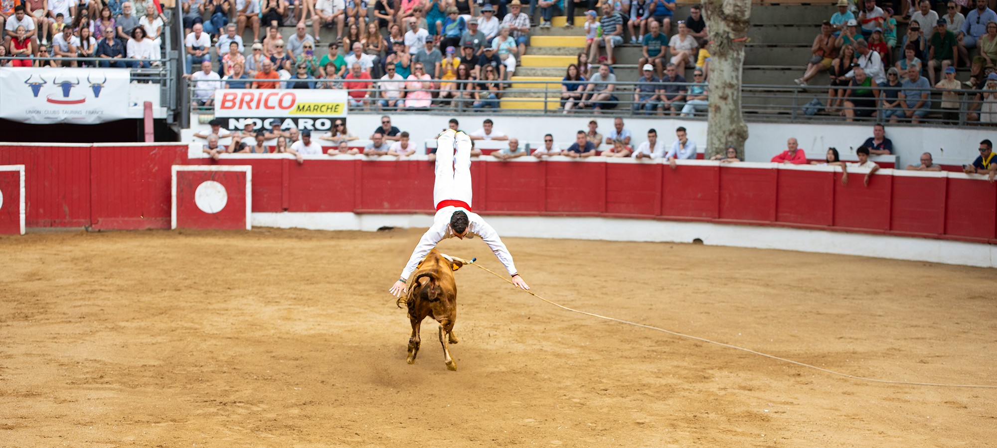 0 Théo Rodriguez en action 1bis 150824.jpg