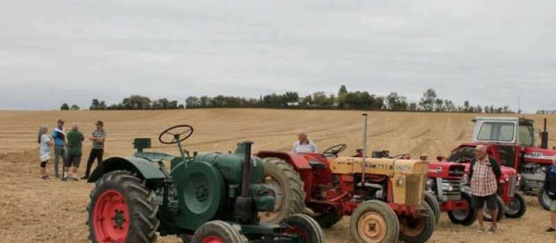 La fête des labours à l'ancienne, c'est samedi !