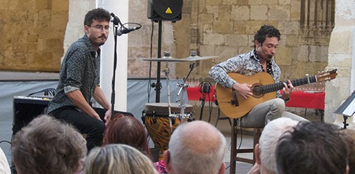 coçndom flamenco 2.jpg