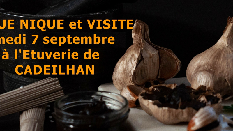 Repas pique-nique et visite de l'Etuverie de Cadeilhan