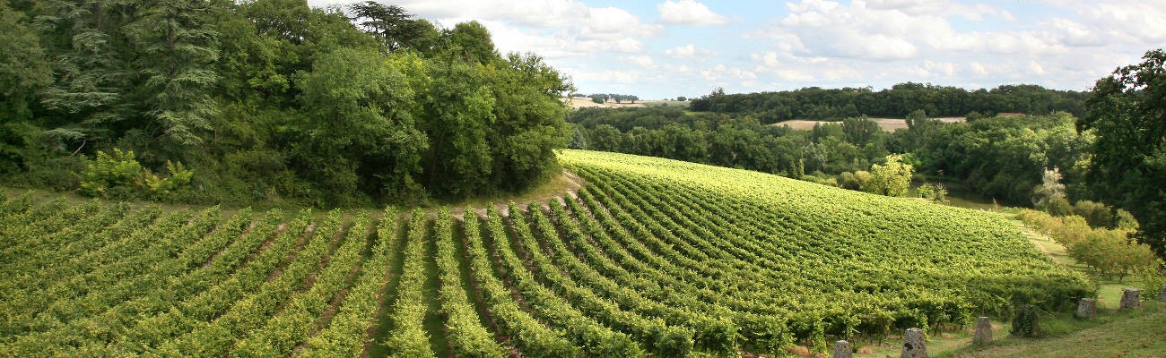 Armagnac_site.jpg