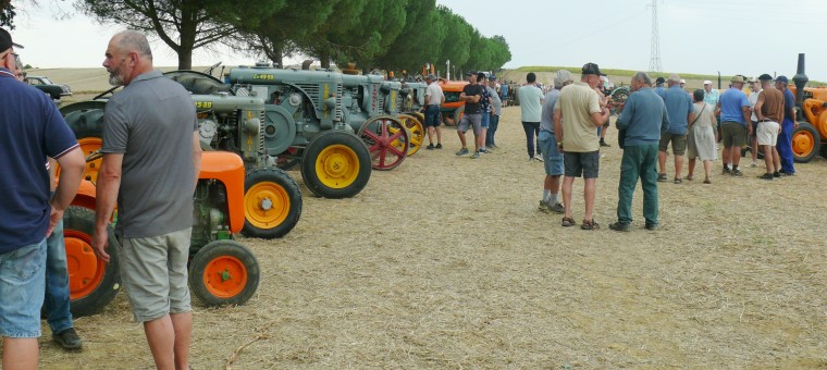 Fête de labours : Retour en images