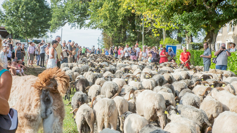 Journées du patrimoine: somptueux programme au Musée du Paysan gascon de Toujouse
